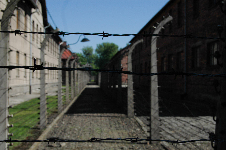 A detail of the barbed wire that surrounded many areas of the Auschwitz I camp. As a part of their “Final Solution to the Jewish Question”, the Nazis murdered over one million Jews, gypsies, Slavs and other minorities at Auschwitz and its satellite camps.