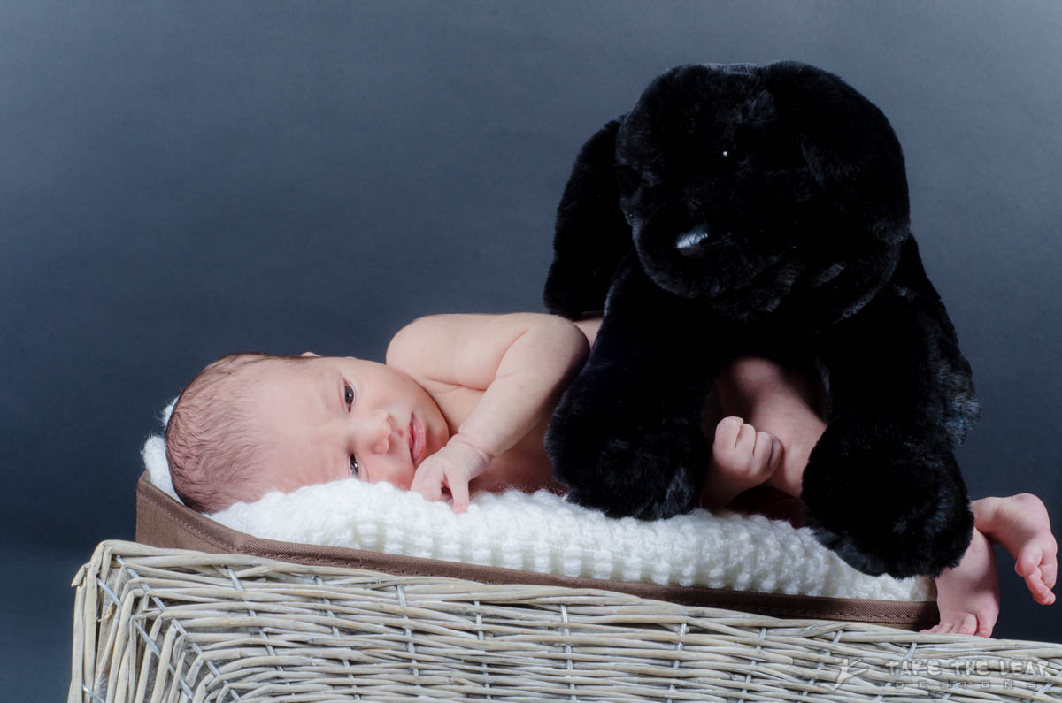 The black dog is a gift from Alistair The black dog is a gift from Alistair