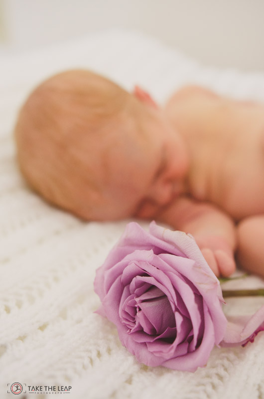 Everly Rose Furtado, Newborn Photography, Brantford, ON